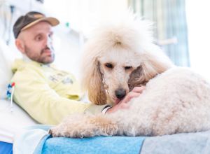 Therapiehund FEODORA