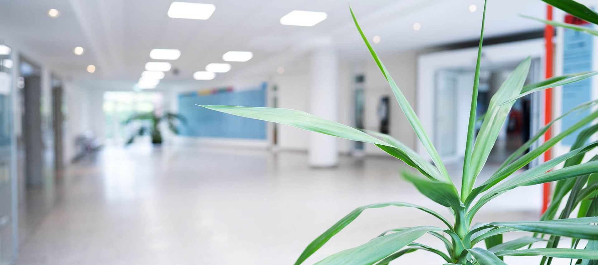 Informationen für Patientinnen und Patienten