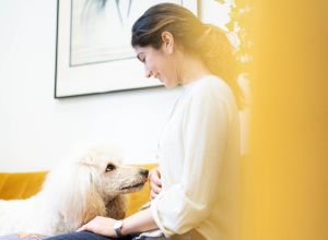 Therapiehund FEODORA